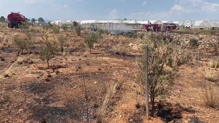 Otluk alanda başladı orman ve seralara sıçradı - Resim: 8